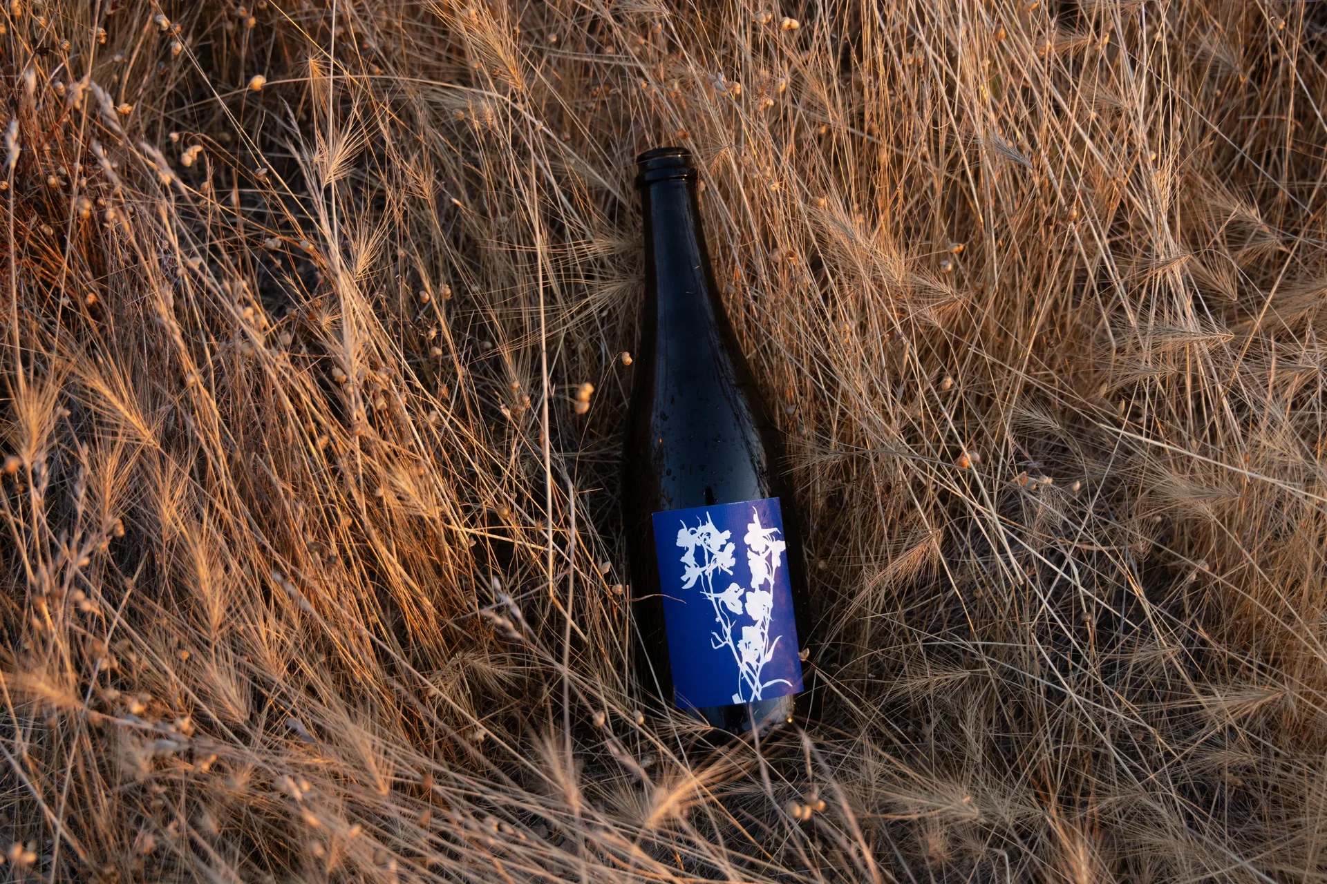 California sparkling wine beach lifestyle