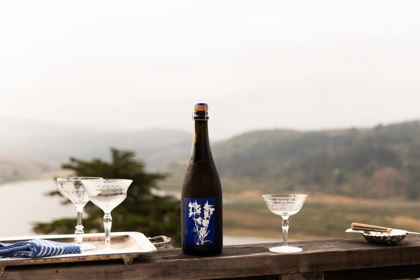 Coastal delphinium sparkling wine scene