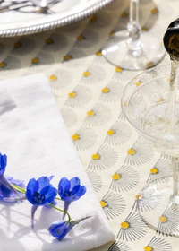Delphinium flowers and sparkling wine pour
