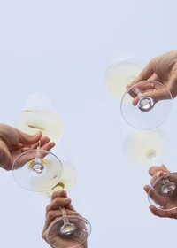 Toasting with Delphinium California Crémant