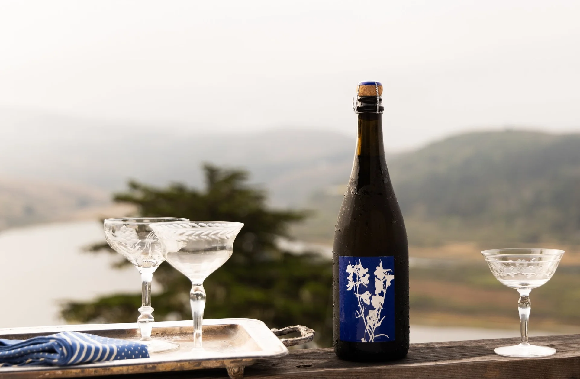 Delphinium California Crémant bottle with glasses overlooking Pacific Ocean